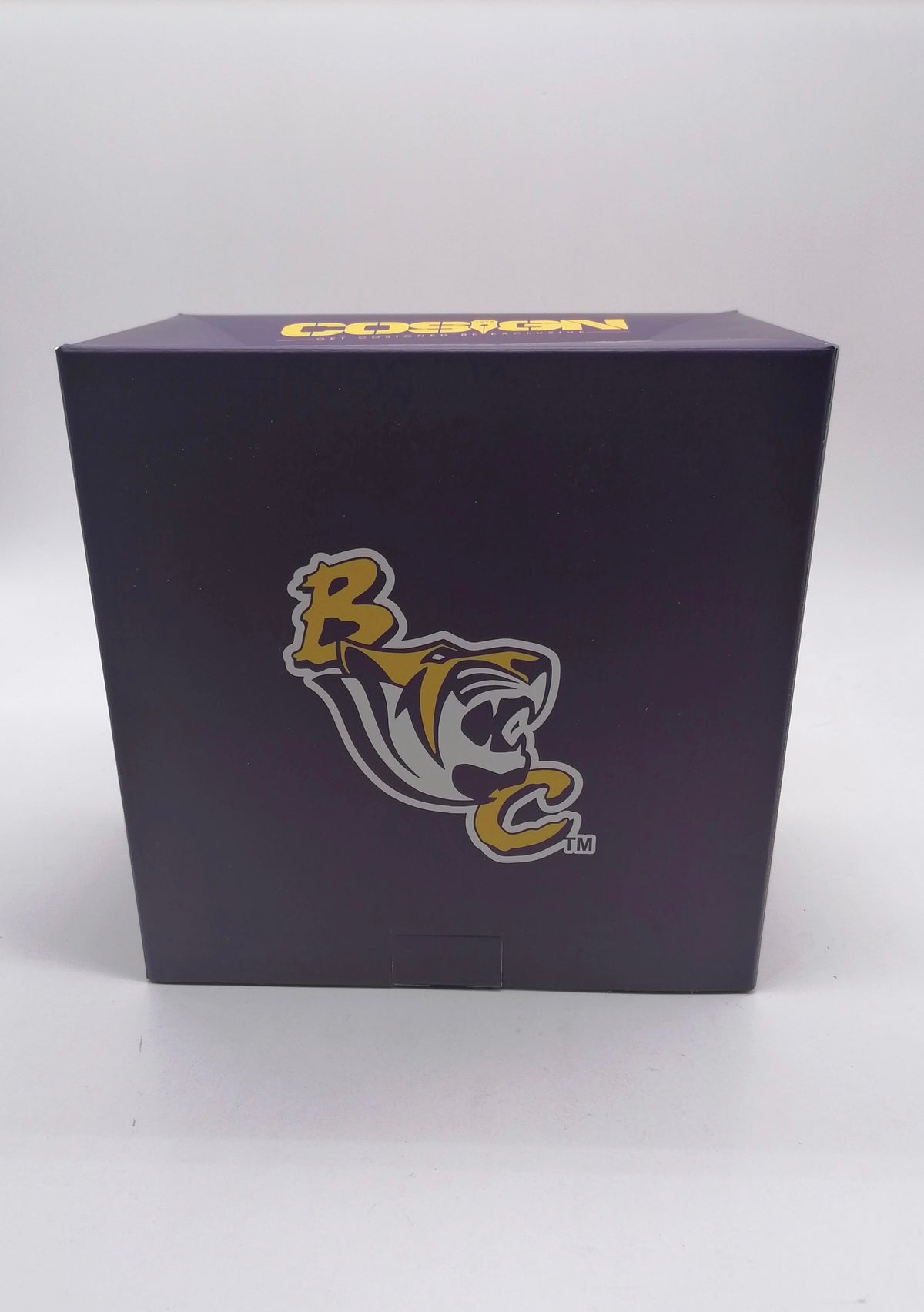 BENEDICT COLLEGE GREY TRUCKER HAT COLLECTORS ITEM FWE S26 - COSIGN1975